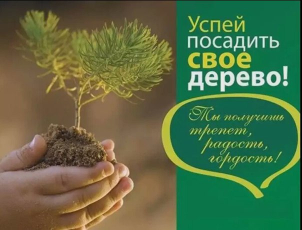 «Сохрани лес -2020» «Сохрани лес -2020»