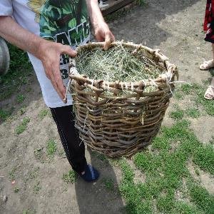 Техника плетения из лозы в с. Завальное Усманского района. Техника плетения из лозы в с. Завальное Усманского района.