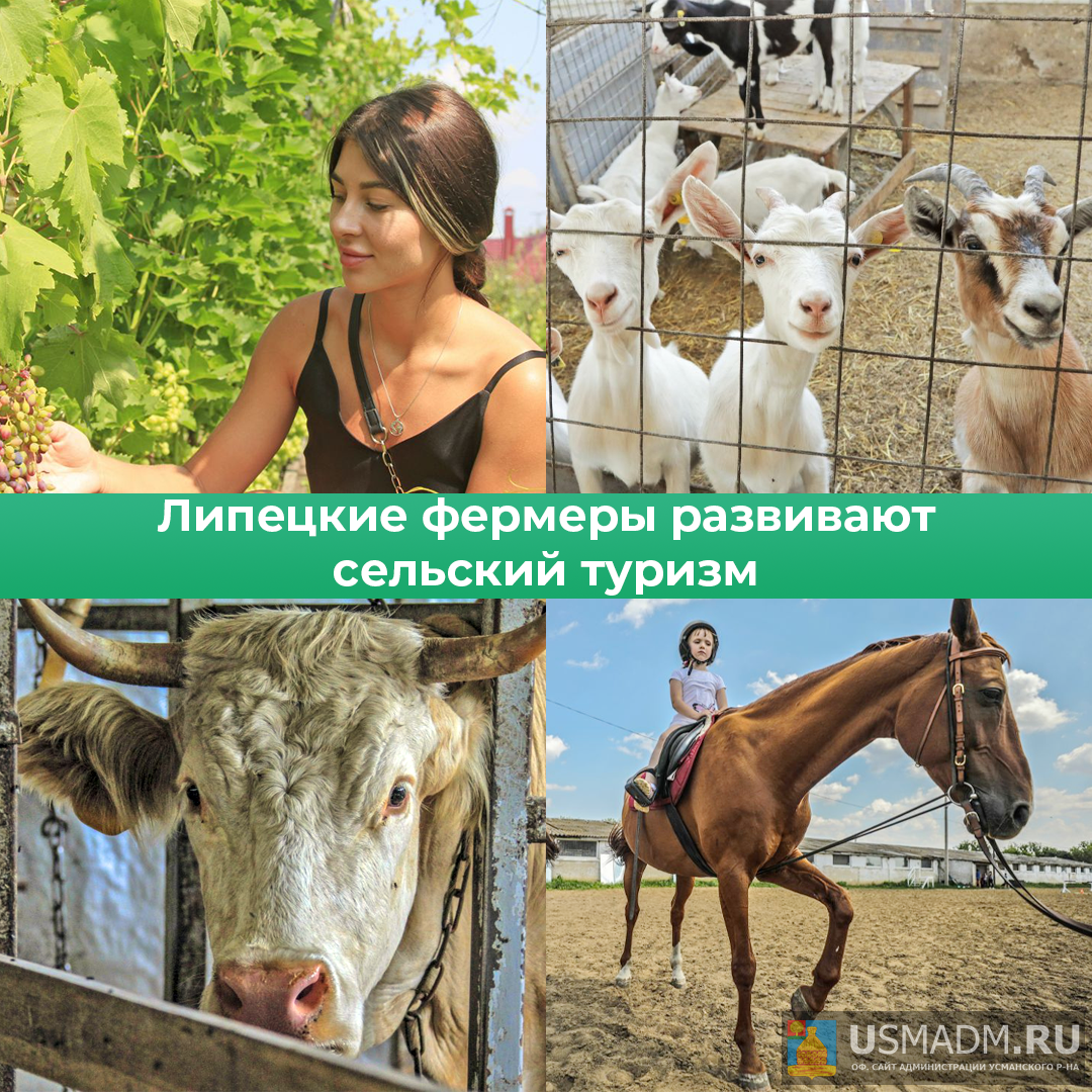 Агротуризм Агротуризм