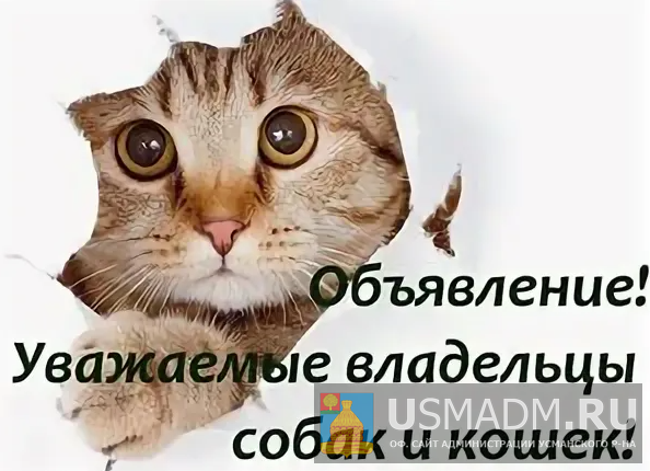 Уважаемые владельцы собак и кошек!