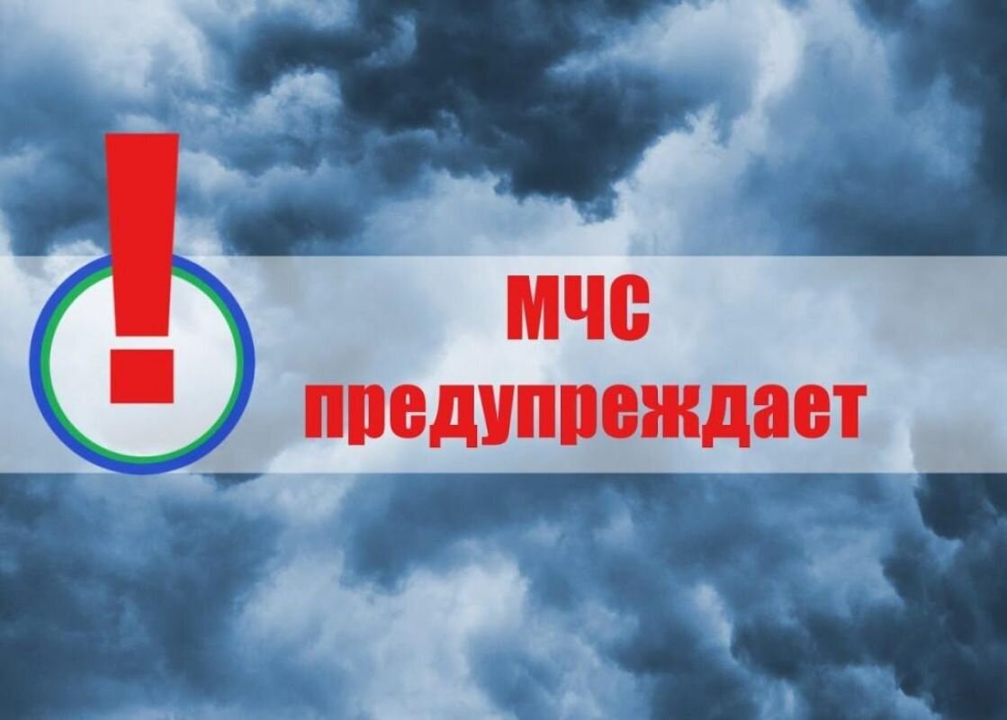 ЧРЕЗВЫЧАЙНАЯ ПОЖАРООПАСНОСТЬ ЛЕСОВ